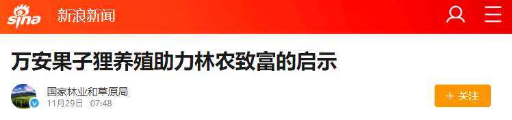 广西竹鼠养殖户的悲歌_广西竹鼠养殖补偿政策2020_广西养殖竹鼠技术