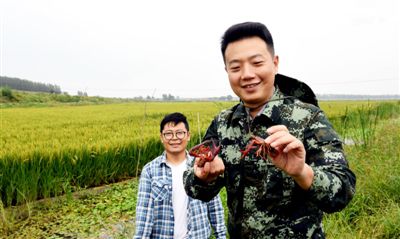 沈阳种植什么农作物_沈阳种植致富_沈阳怎样种植