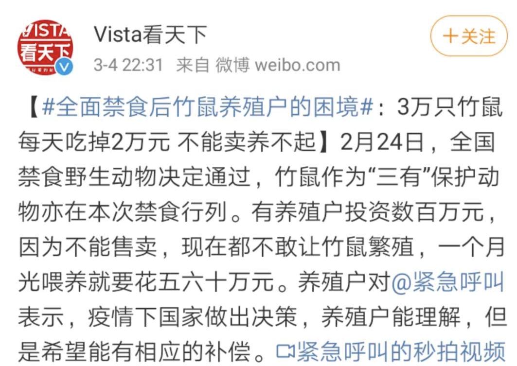 养殖广西技术竹鼠的公司_广西竹鼠养殖现状_广西养殖竹鼠技术