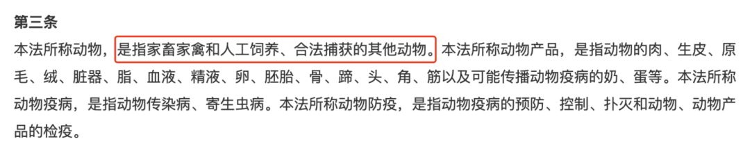 养殖广西技术竹鼠的公司_广西养殖竹鼠技术_广西竹鼠养殖现状