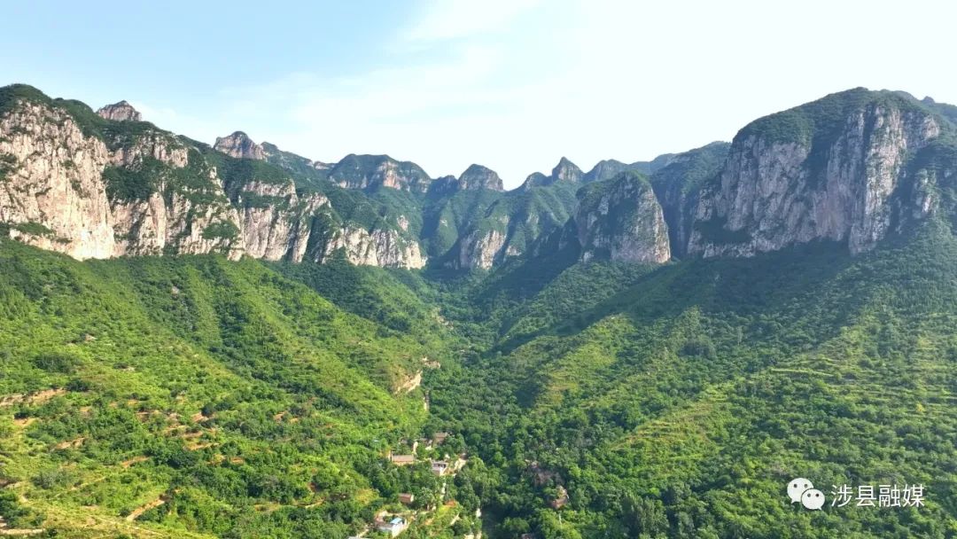 致富宝贝种植方法图片_致富宝贝种植方法_致富宝贝种植方法有哪些