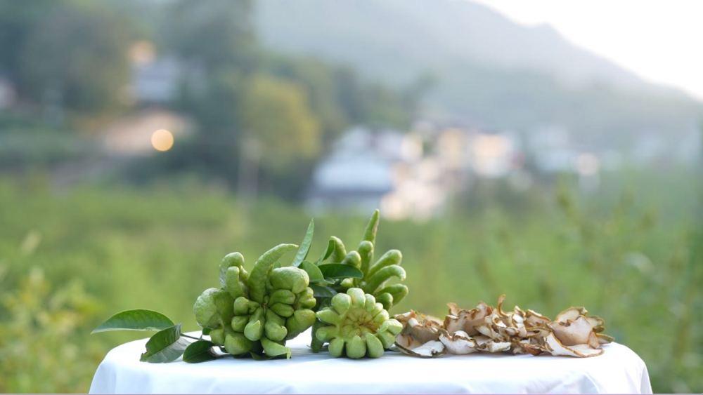 佛手种植致富_致富种植佛手图片_佛手种植经济效益