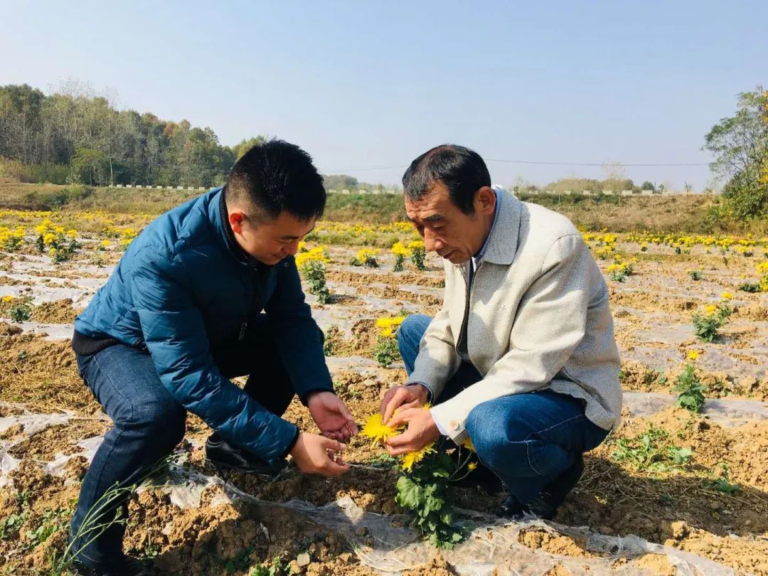 万亩龙虾养殖基地_致富经全椒县养殖龙虾_全椒小龙虾养殖基地