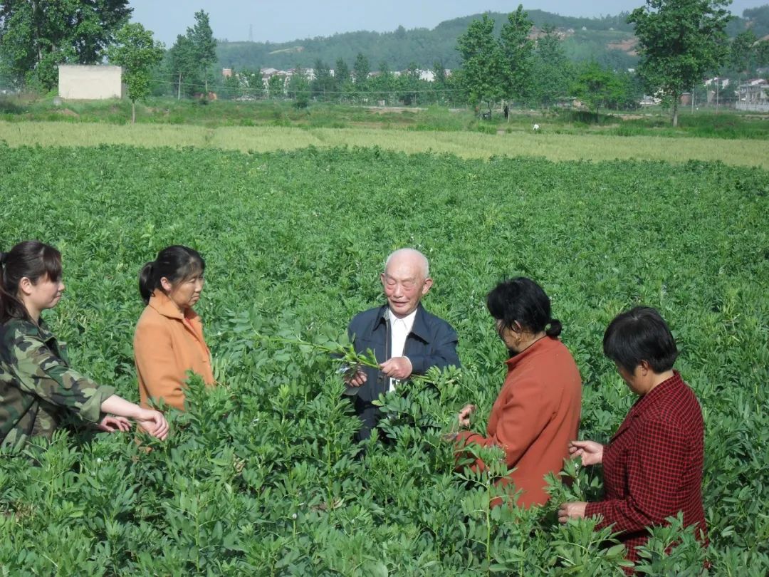 致富经全椒县养殖龙虾_万亩龙虾养殖基地_全椒小龙虾养殖基地