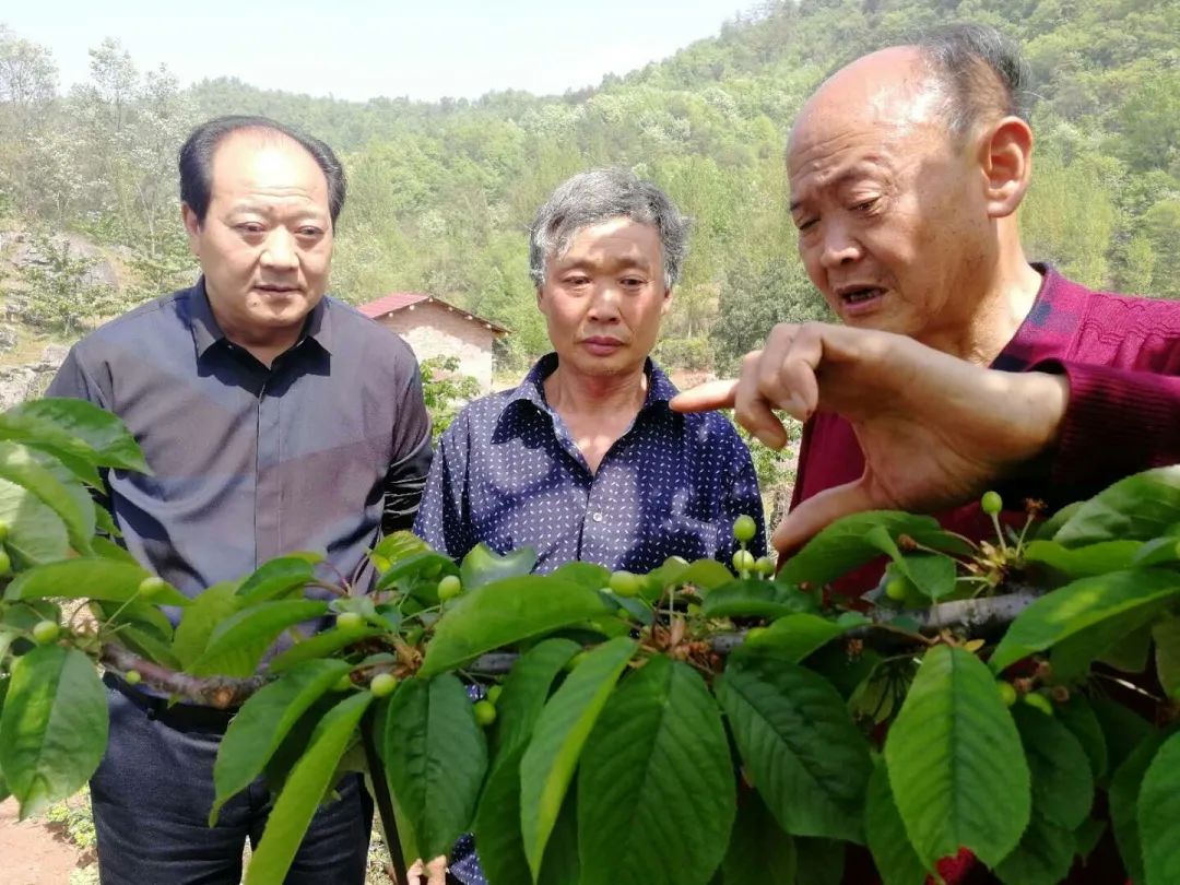 全椒小龙虾养殖基地_万亩龙虾养殖基地_致富经全椒县养殖龙虾