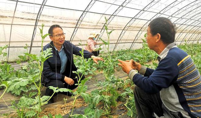 马建祥：把西瓜种成农民的致富果