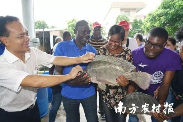 水产养殖致富项目_水产养殖致富经_水产养殖致富难