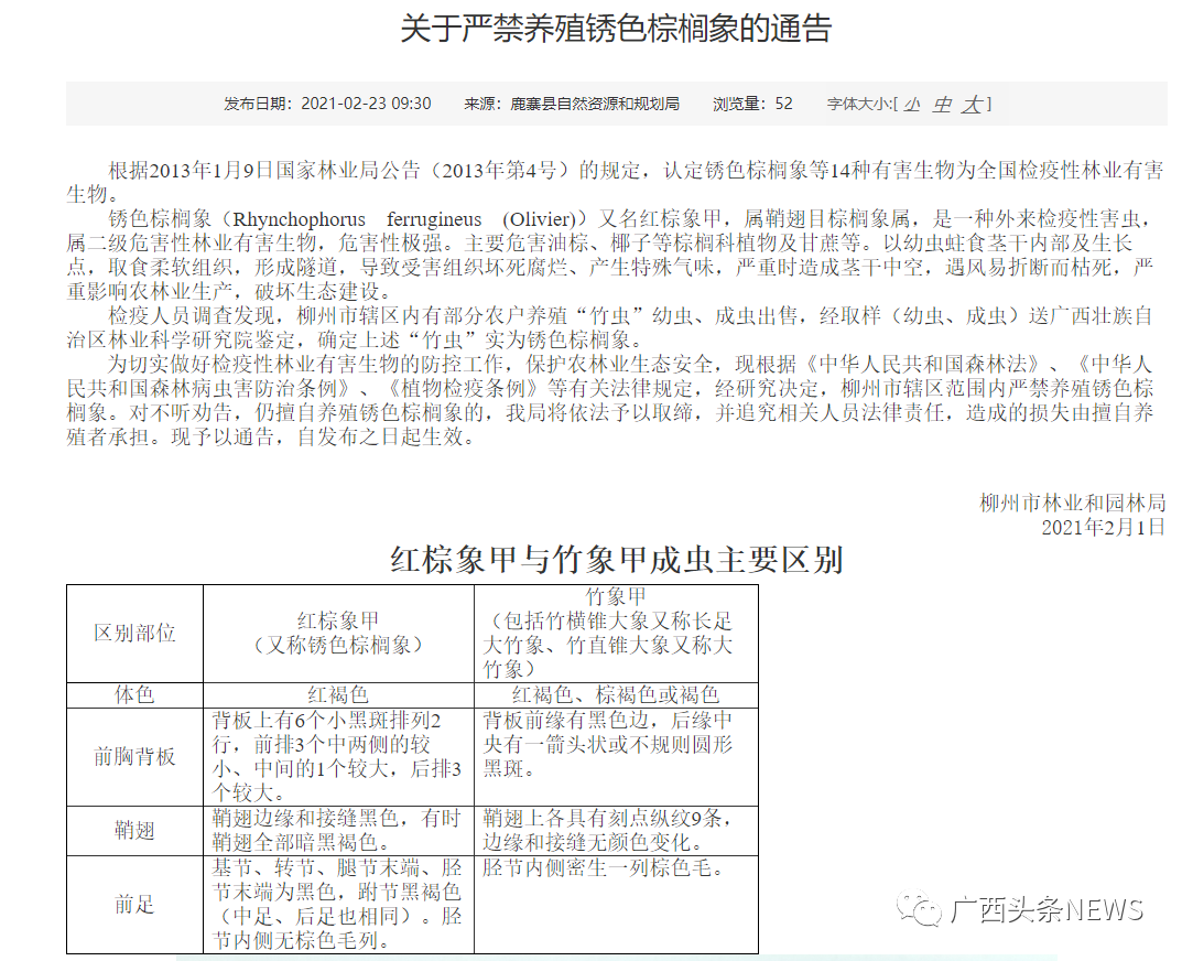 竹鼠品种养殖技术_养殖品种技术竹鼠实验报告_竹鼠养殖业