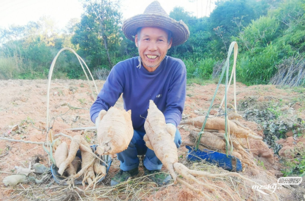 致富经葛根视频_致富经葛根_葛根脱贫致富