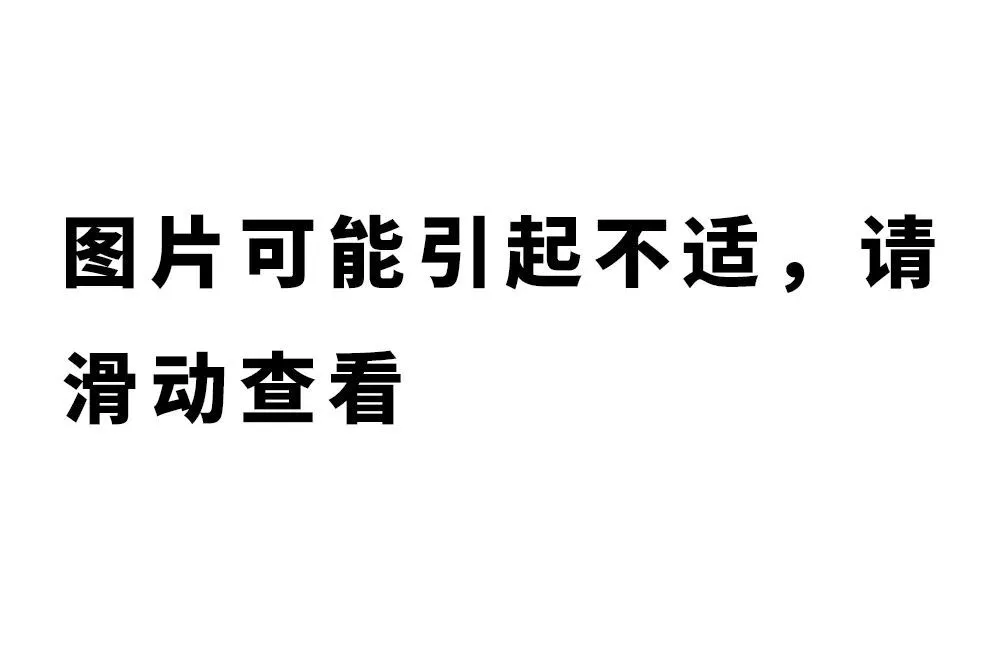 致富经水蛇养殖视频_致富经水律蛇视频_致富经蛇