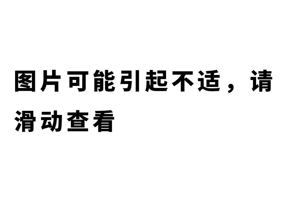 致富经蛇_致富经水律蛇视频_致富经水蛇养殖视频