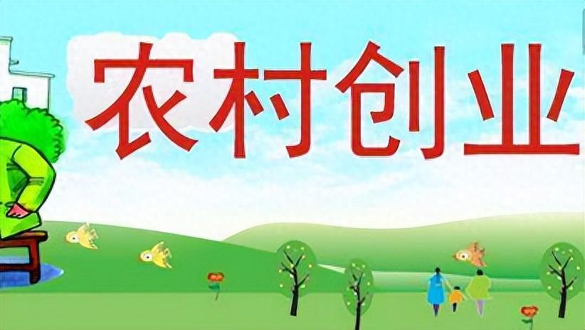 （连载）农民励志创业故事