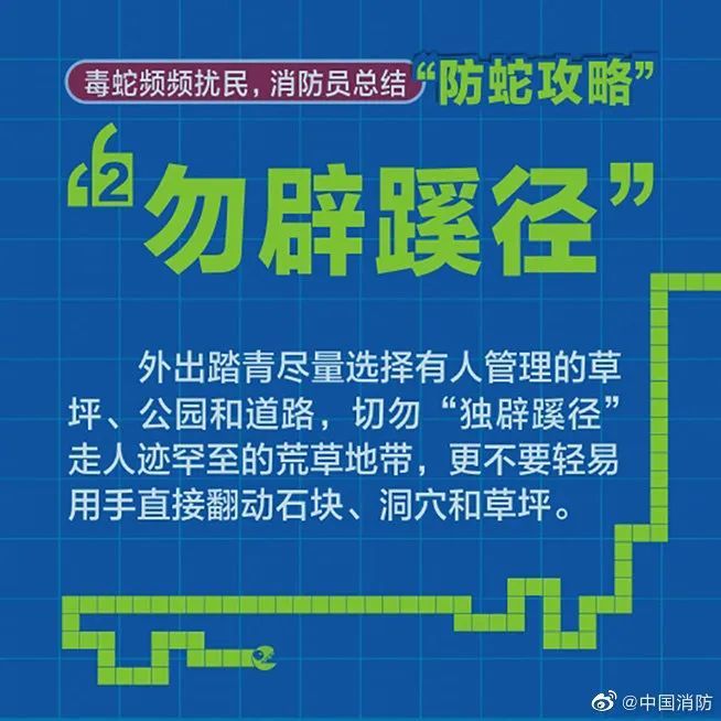 致富经水律蛇视频_致富经47亿蛇毒视频_致富经养殖毒蛇视频