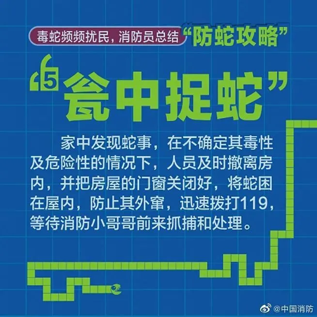 致富经养殖毒蛇视频_致富经47亿蛇毒视频_致富经水律蛇视频