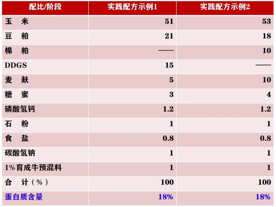 架子养殖牛技术视频教程_架子牛养殖技术_养架子牛好还是养小牛好