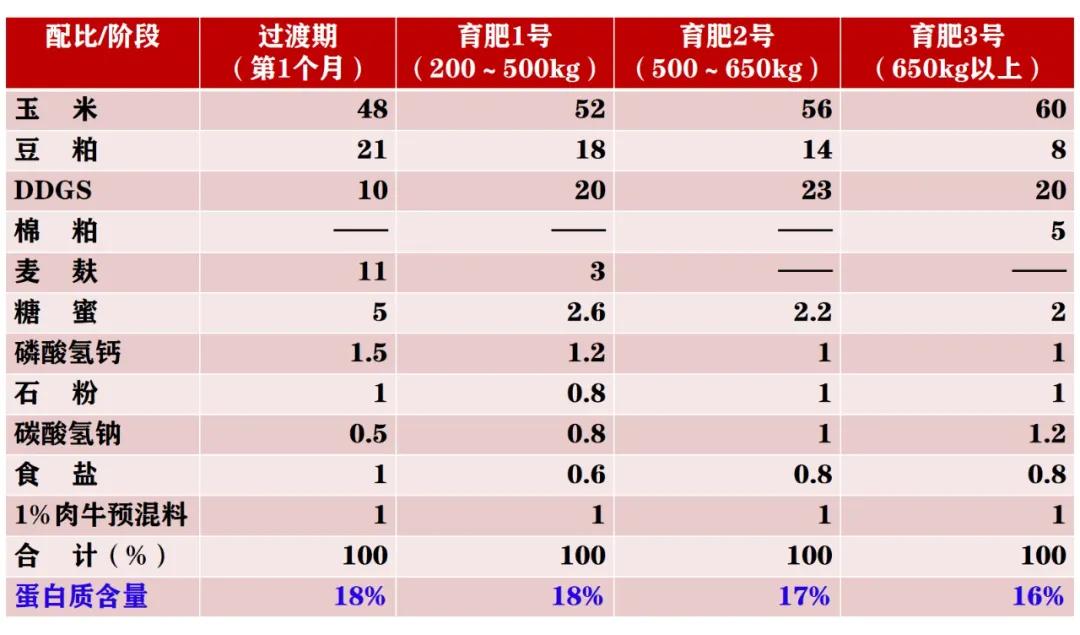 架子牛养殖技术_养架子牛好还是养小牛好_架子养殖牛技术视频教程