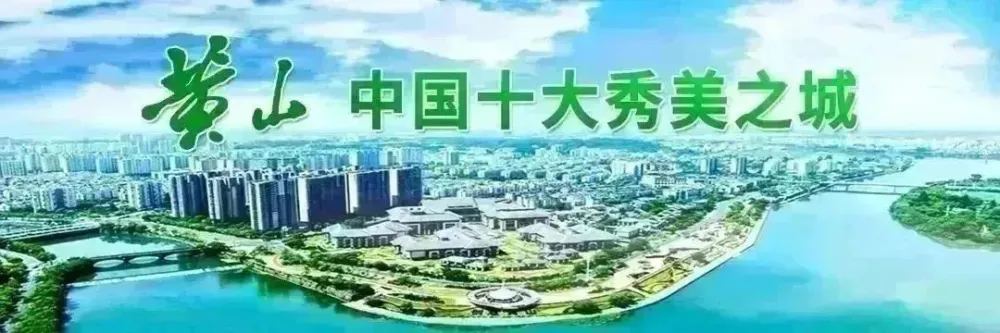 《农民日报》关注黄山这个村：小小盆景栽出“美丽丰收”