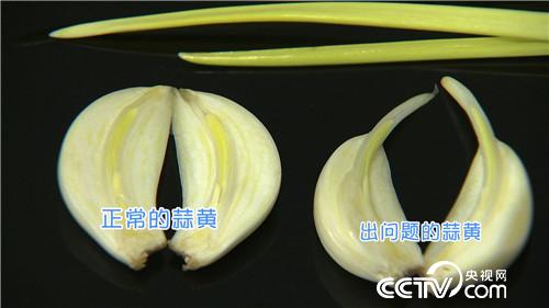 [致富经]怎么把钱赚？ 三个数字一把蒜 20190226