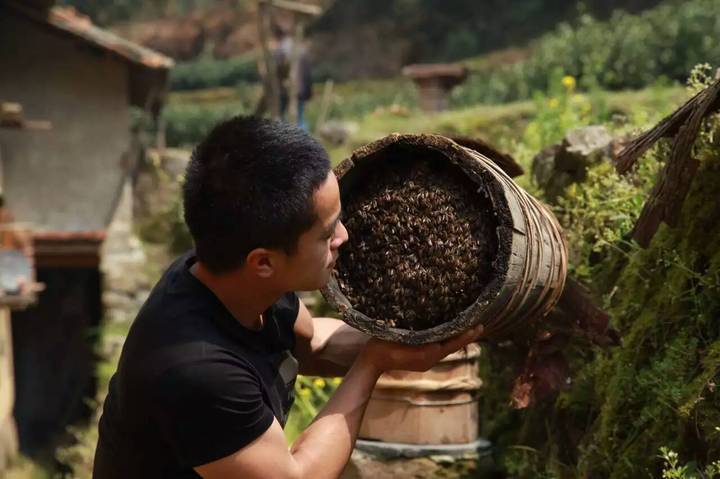 为家乡蜜蜂销售开新路！他说自己的“中国梦”正在实现