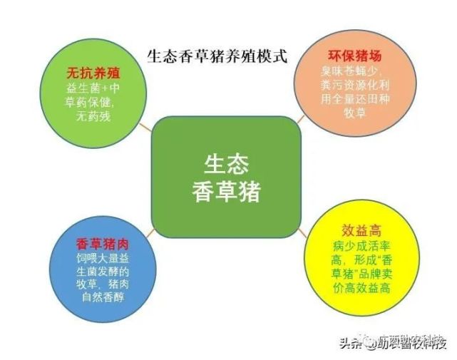 特种养殖养鸭技术要求_特种养殖养鸭技术视频_特种养殖技术养鸭