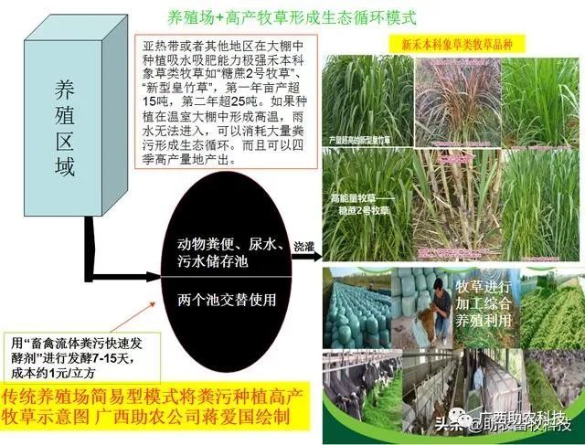 特种养殖养鸭技术视频_特种养殖技术养鸭_特种养殖养鸭技术要求