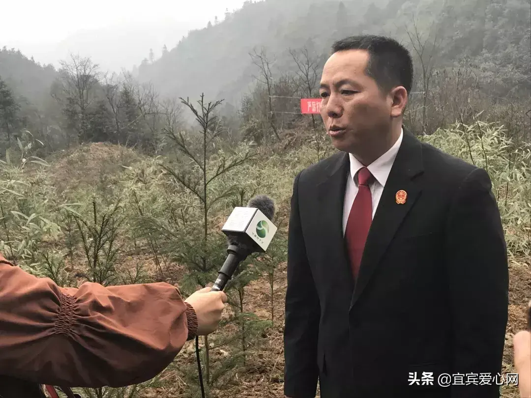 宜宾苗乡种植致富_宜宾种植基地_宜宾种植什么最赚钱