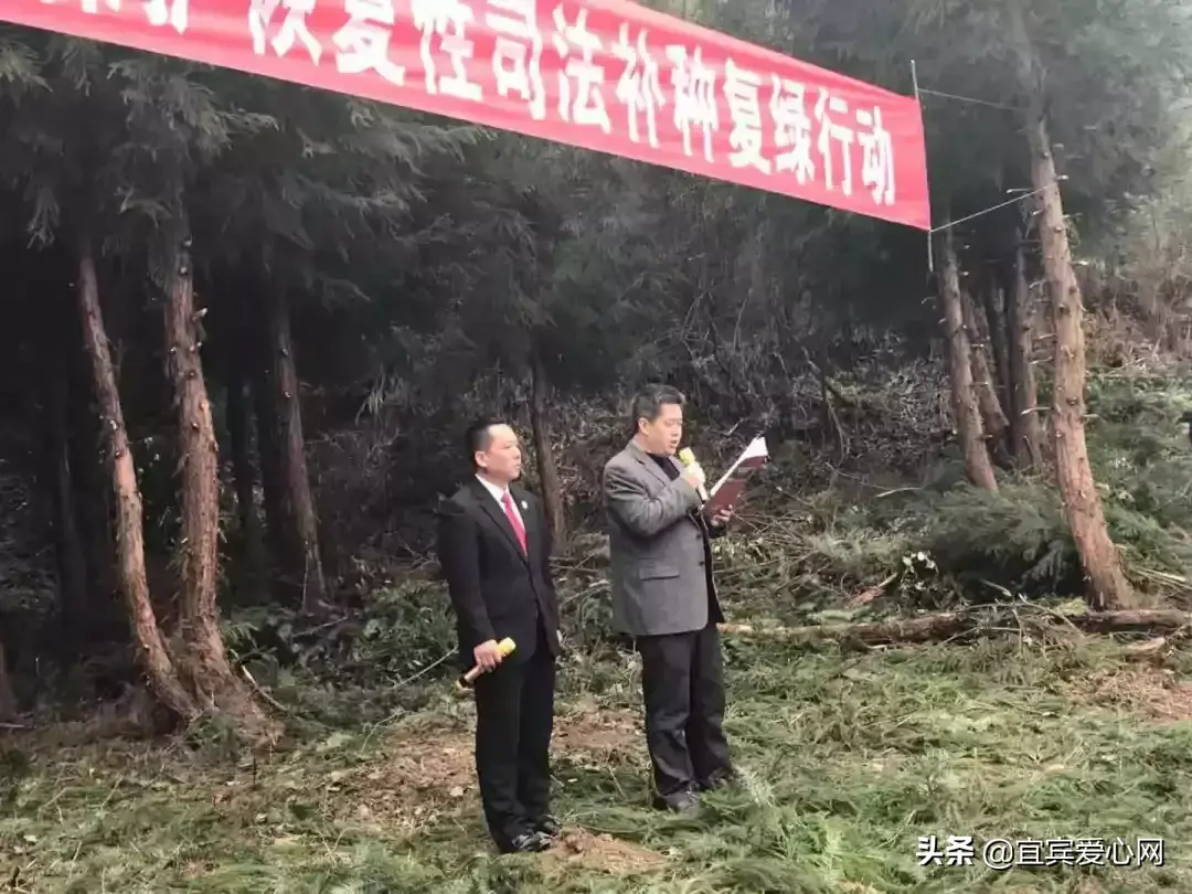 宜宾种植基地_宜宾种植什么最赚钱_宜宾苗乡种植致富