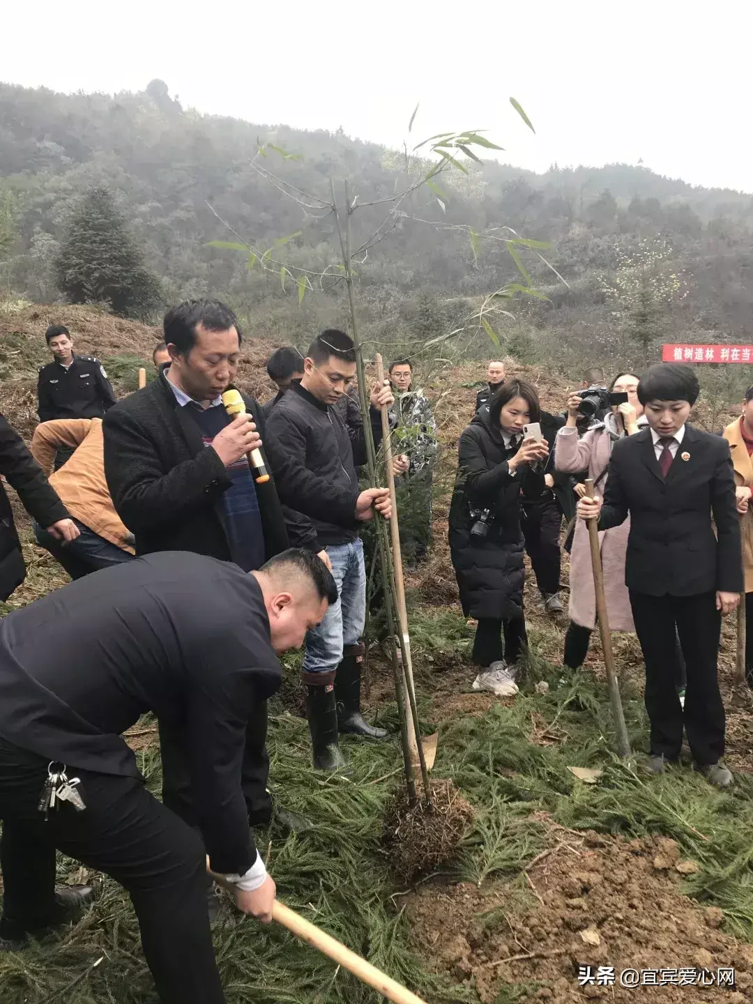 宜宾种植什么最赚钱_宜宾苗乡种植致富_宜宾种植基地