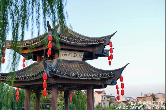 致富经螃蟹_螃蟹致富_致富经 簖蟹是啥蟹