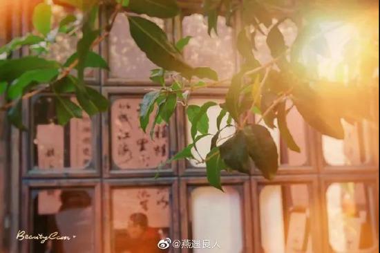 螃蟹致富_致富经螃蟹_致富经 簖蟹是啥蟹