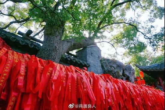 致富经 簖蟹是啥蟹_螃蟹致富_致富经螃蟹