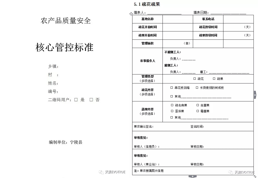 扶贫种植致富案例_农村种植致富案例_种植扶贫创业项目