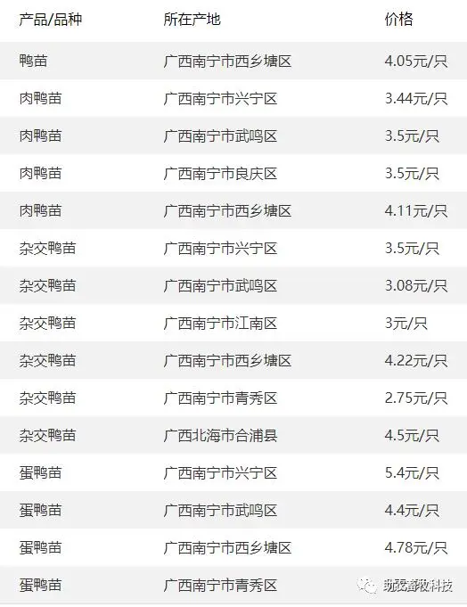 养鹅视频大全技术_鹅养殖技术视频教程_致富经种鹅养殖技术视频