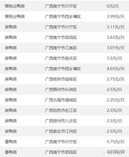 养鹅视频大全技术_鹅养殖技术视频教程_致富经种鹅养殖技术视频