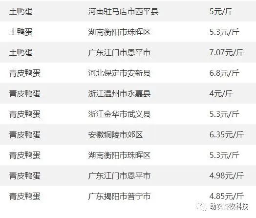 致富经种鹅养殖技术视频_鹅养殖技术视频教程_养鹅视频大全技术