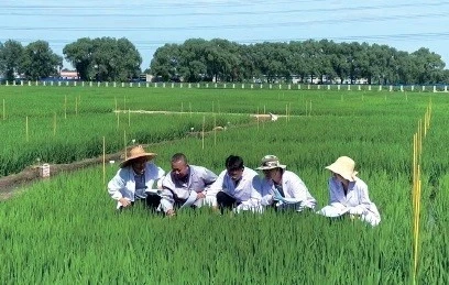 “辽北粮仓”再出发——辽宁省铁岭市创建全域国家农业现代化示范区