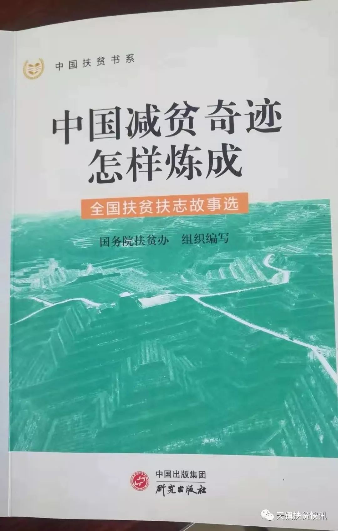 农村种植致富案例_扶贫项目种植_扶贫种植致富案例