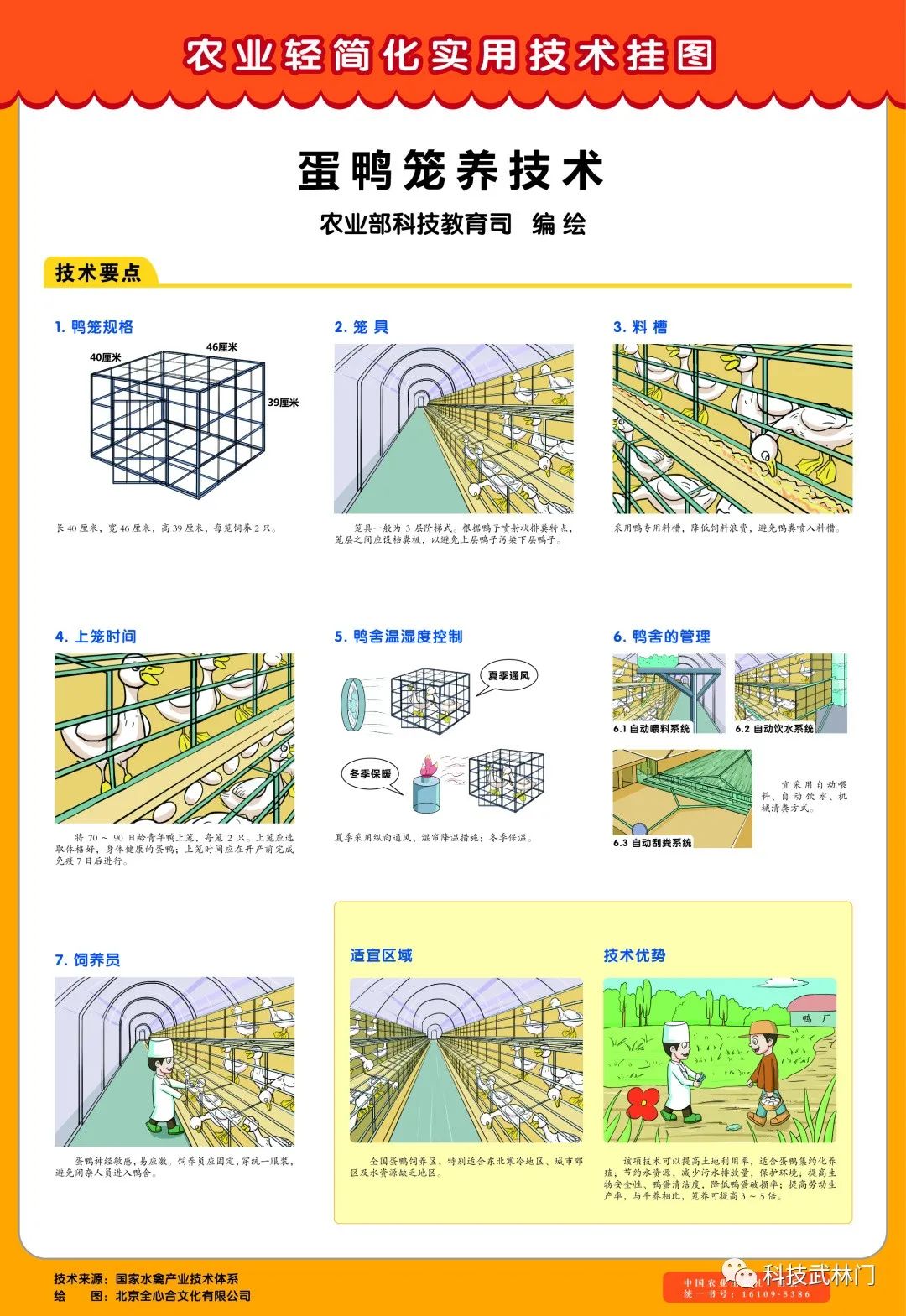 蛋鸭养殖技术视频播放_蛋鸭养殖技术十大小窍门_养殖蛋鸭技术