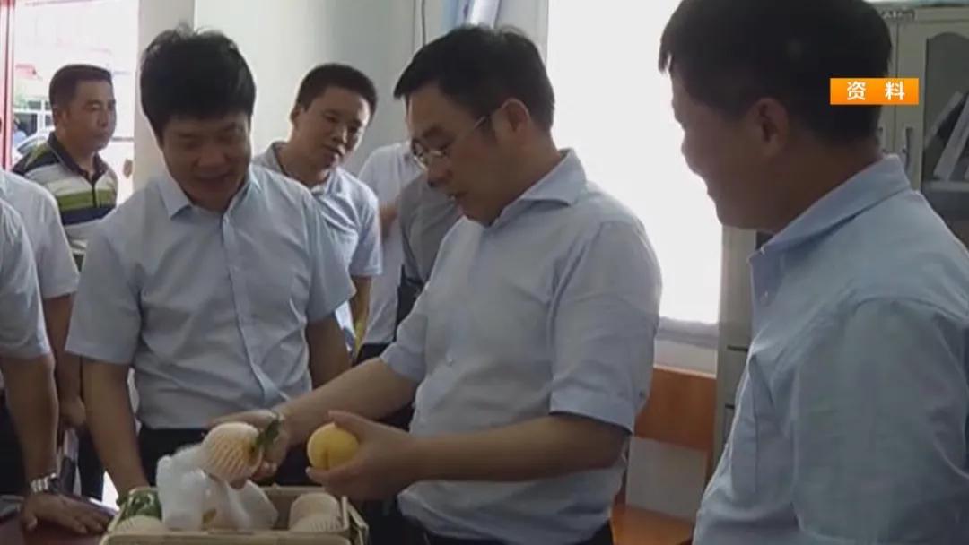 湖北人种植黄桃致富的原因_湖北黄桃种植基地_湖北的黄桃什么时候成熟