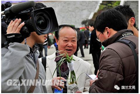 致富兰花种植条件_兰花种植致富经_致富兰花种植时间