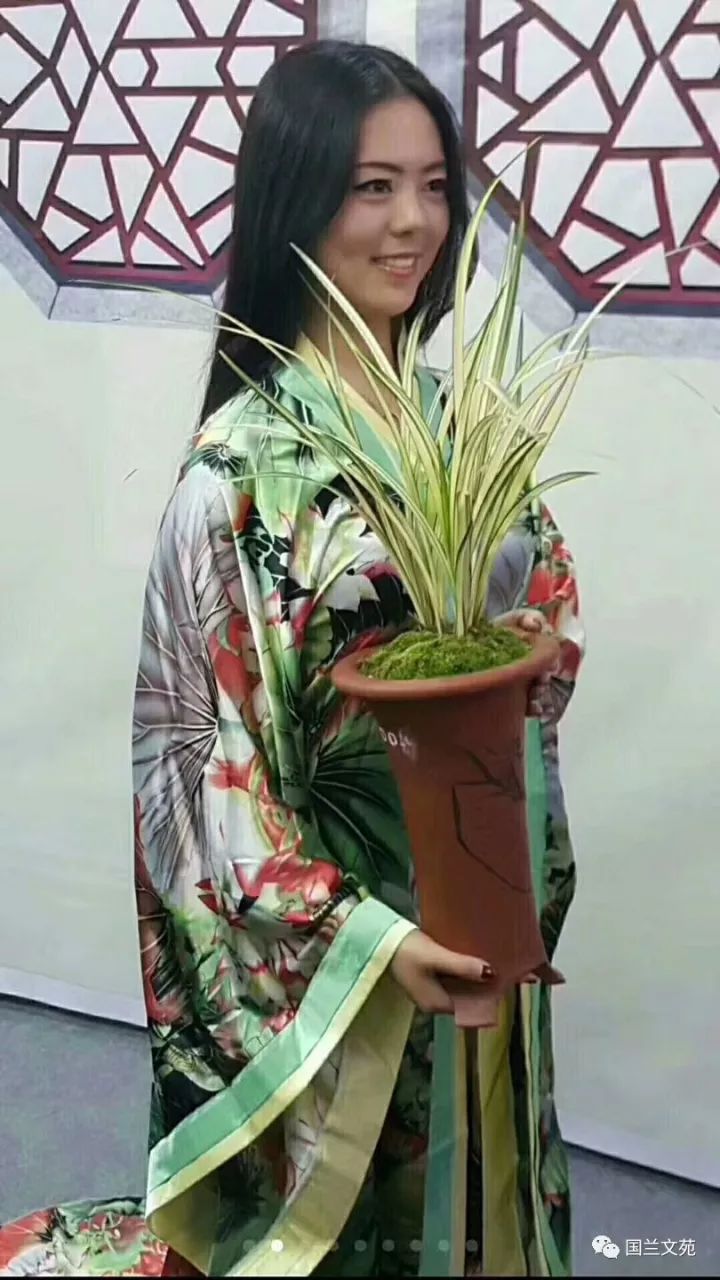 致富兰花种植时间_兰花种植致富经_致富兰花种植条件