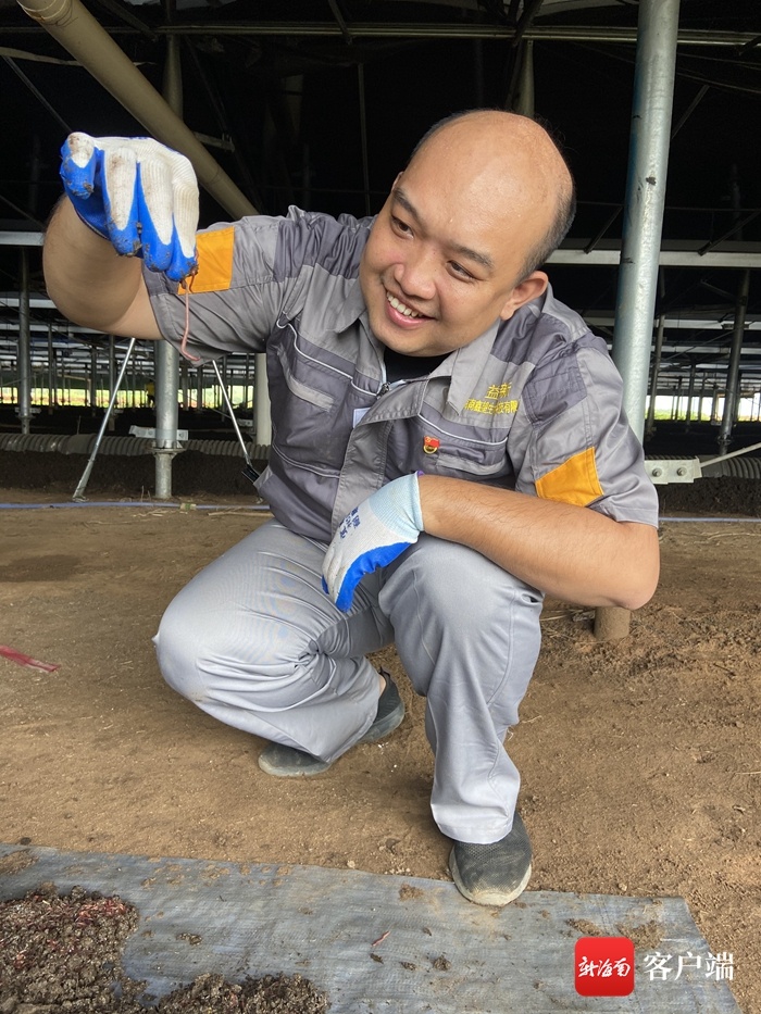 新春走基层 | 海口琼山区甲子镇：小蚯蚓“钻”出致富新路