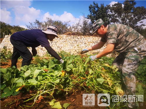 丰收家园种植致富_丰收园艺_丰收农庄