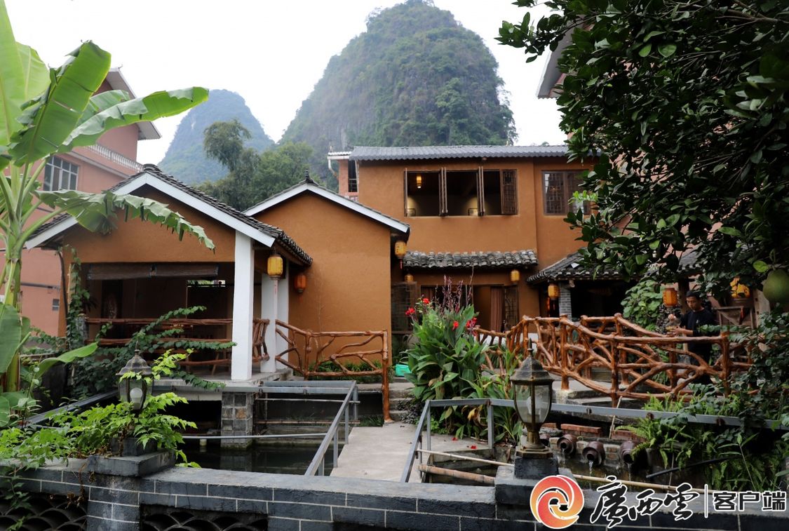 致富的庭院种植_庭院种植收益_庭院种植什么最赚钱