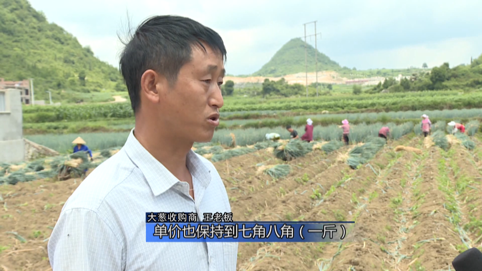 致富经骗国家补贴_致富经套路_致富经张美骗局