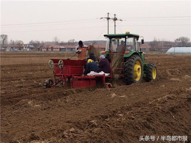 致富经张美骗局_致富经骗国家补贴_致富经套路