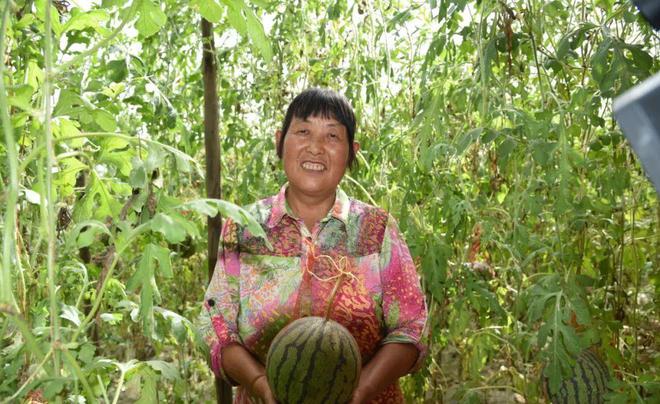 瓜果种植技术_瓜果种植图片_瓜瓜种植致富果