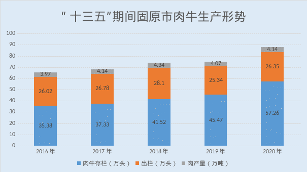 固原市肉牛产业发展迅猛 制约问题不容忽视