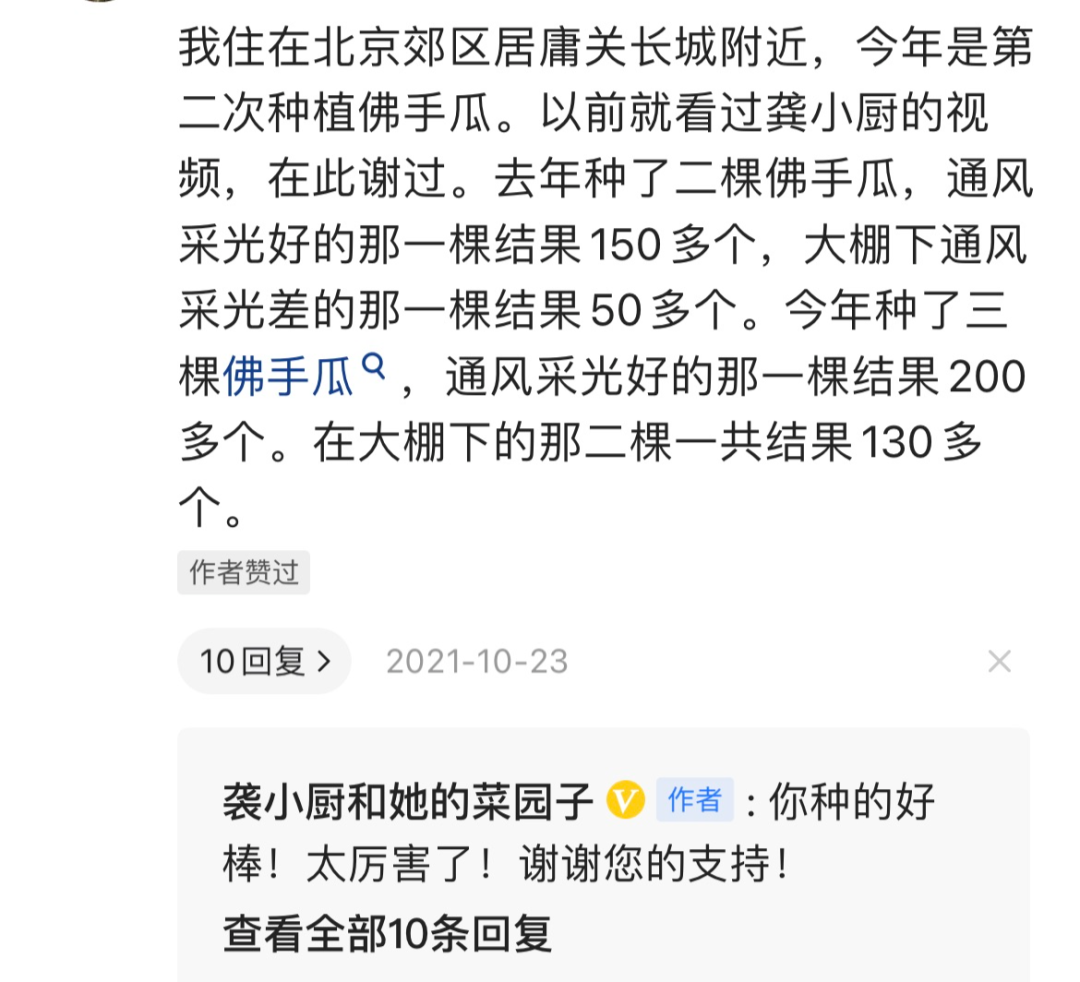 如何种植淮山视频_种植淮山的高产技术视频_淮山种植技术视频