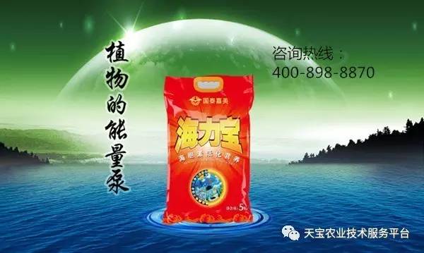 牡丹种植利润_绛县牡丹种植致富_2021牡丹种植贴吧